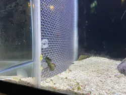 越前松島水族館に投稿された画像（2026/10/16）