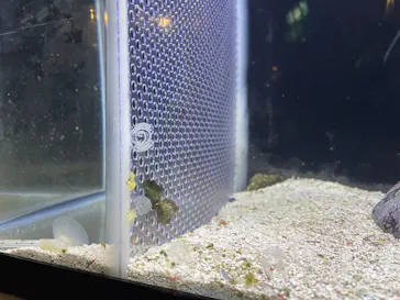 越前松島水族館に投稿された画像（2026/10/16）