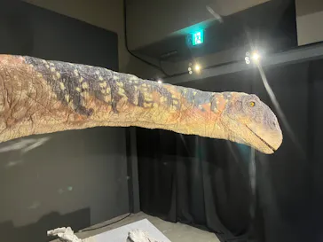 福井県立恐竜博物館に投稿された画像（2026/10/16）