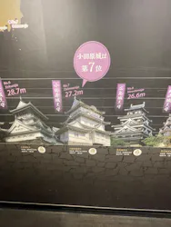 小田原城に投稿された画像（2026/10/16）