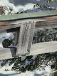 志賀高原マウンテンリゾートに投稿された画像（2026/10/16）