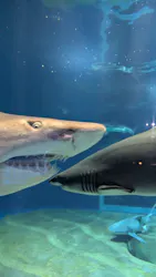 アクアワールド茨城県大洗水族館に投稿された画像（2026/10/16）