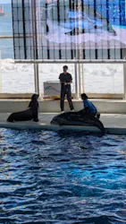 アクアワールド茨城県大洗水族館に投稿された画像（2026/10/16）