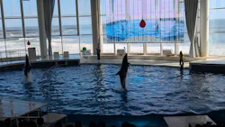 アクアワールド茨城県大洗水族館に投稿された画像（2026/10/16）