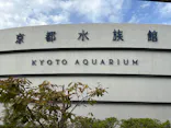 京都水族館に投稿された画像（2026/10/17）