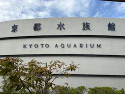 京都水族館に投稿された画像（2026/10/16）