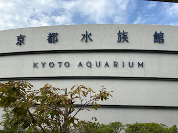 京都水族館に投稿された画像（2026/10/16）