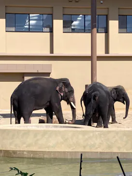 天王寺動物園に投稿された画像（2026/10/16）