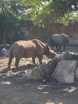 天王寺動物園に投稿された画像（2026/10/16）