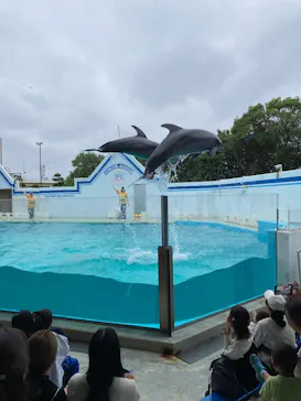 しながわ水族館に投稿された画像（2026/10/17）