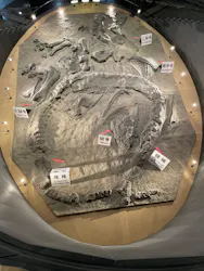 福井県立恐竜博物館に投稿された画像（2026/10/17）