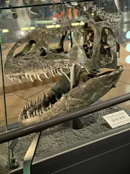 福井県立恐竜博物館に投稿された画像（2026/10/17）