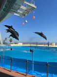 マリンワールド海の中道に投稿された画像（2026/10/17）