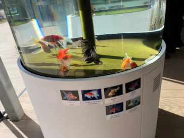 環境水族館アクアマリンふくしまに投稿された画像（2026/10/17）