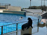 マリンワールド海の中道に投稿された画像（2026/10/17）