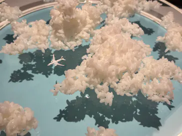 MINIATURE LIFE展2　田中達也 見立ての世界（北海道）に投稿された画像（2026/10/17）