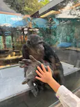 伊豆シャボテン動物公園に投稿された画像（2026/10/17）