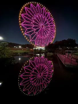 ダイヤと花の大観覧車に投稿された画像（2026/10/17）