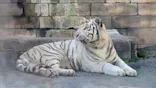 東武動物公園に投稿された画像（2026/10/17）
