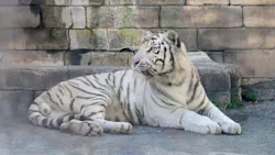 東武動物公園に投稿された画像（2026/10/17）