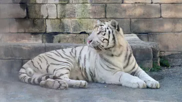 東武動物公園に投稿された画像（2026/10/17）