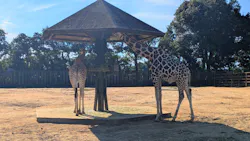 東武動物公園に投稿された画像（2026/10/17）