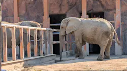 東武動物公園に投稿された画像（2026/10/17）