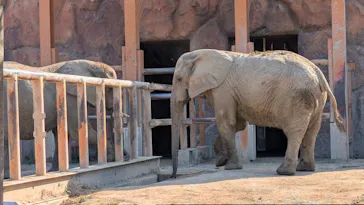 東武動物公園に投稿された画像（2026/10/17）