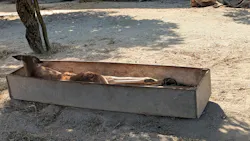 東武動物公園に投稿された画像（2026/10/17）