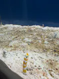 大分マリーンパレス水族館 「うみたまご」に投稿された画像（2026/10/17）