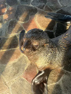大分マリーンパレス水族館 「うみたまご」に投稿された画像（2026/10/17）