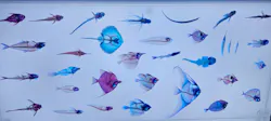 アクアワールド茨城県大洗水族館に投稿された画像（2026/10/17）