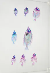 アクアワールド茨城県大洗水族館に投稿された画像（2026/10/17）