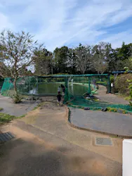 千葉こどもの国 キッズダムに投稿された画像（2026/10/17）