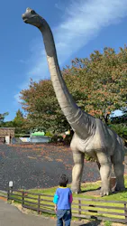 伊豆ぐらんぱる公園に投稿された画像（2026/10/17）
