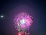 新江ノ島水族館に投稿された画像（2026/10/18）