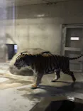 天王寺動物園に投稿された画像（2026/10/18）