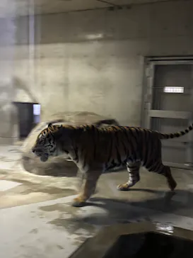 天王寺動物園に投稿された画像（2026/10/17）