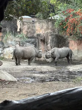 天王寺動物園に投稿された画像（2026/10/17）