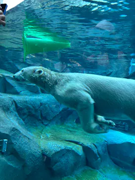 天王寺動物園に投稿された画像（2026/10/17）
