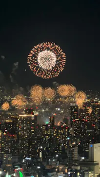 ハルカス300(展望台)に投稿された画像（2026/10/17）