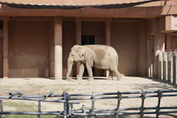 名古屋市東山動植物園に投稿された画像（2026/10/17）