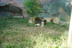 名古屋市東山動植物園に投稿された画像（2026/10/17）