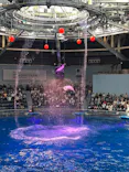 マクセル アクアパーク品川に投稿された画像（2026/10/18）