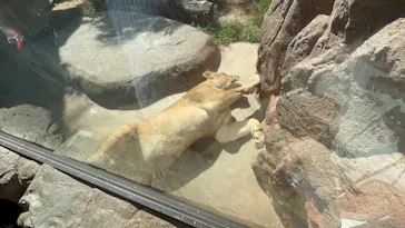 天王寺動物園に投稿された画像（2026/10/18）