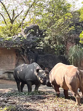 天王寺動物園に投稿された画像（2026/10/18）