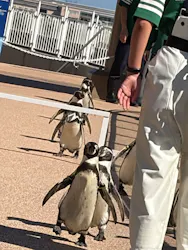 アクアワールド茨城県大洗水族館に投稿された画像（2026/10/18）