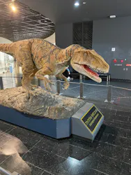 福井県立恐竜博物館に投稿された画像（2026/10/18）