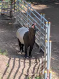 千葉市動物公園に投稿された画像（2026/10/18）