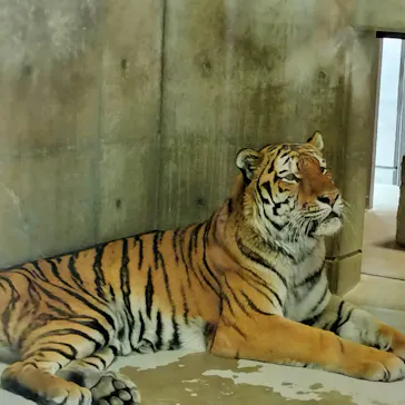 天王寺動物園に投稿された画像（2026/10/18）
